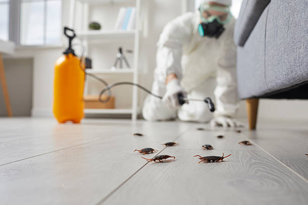 Trusted Bed Bug Control service in El Granada, CA - Nex Pest Control
