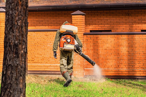 Trusted Termite Control service in El Granada, CA - Nex Pest Control